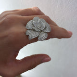 Collezione Concita