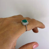 Collezione Esmeralda quadrè