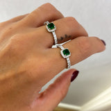 Collezione Zoe
