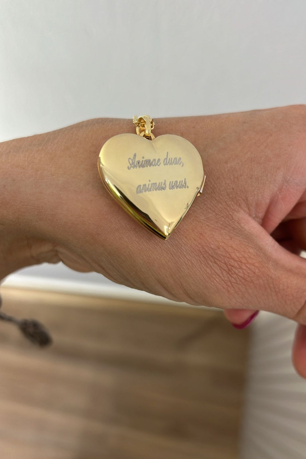 Collana Donna Con Ciondolo A Cuore Rosso – Regolabile 40-50 Cm, Ipoallergenica, Acciaio Al Titanio Placcato Oro